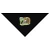 SOL'S Bandana Thumbnail